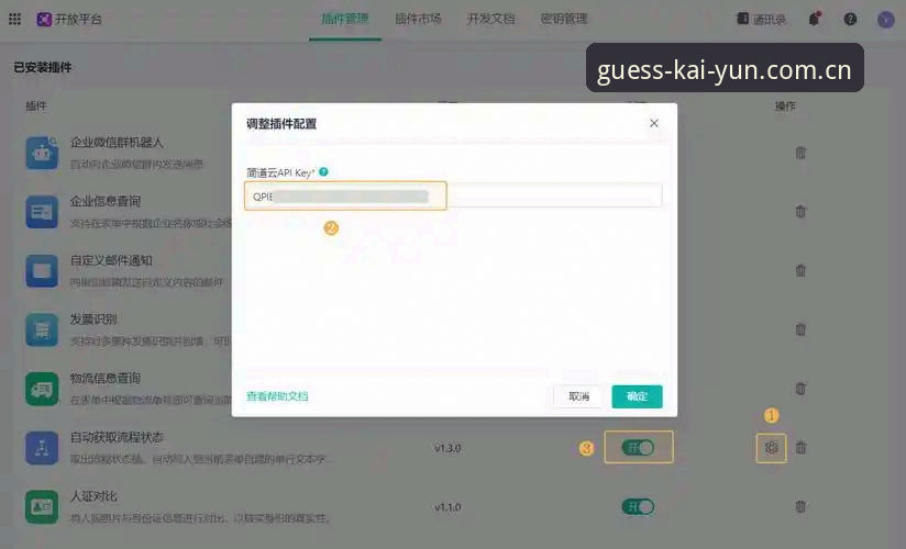 深度揭秘：中文版KAIYUN替代方案背后，那些你不知道的使用门道